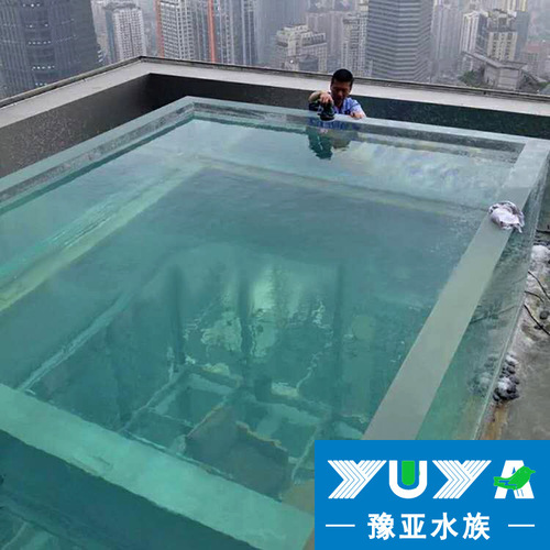 透明游泳池