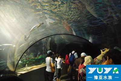 亚克力隧道工程