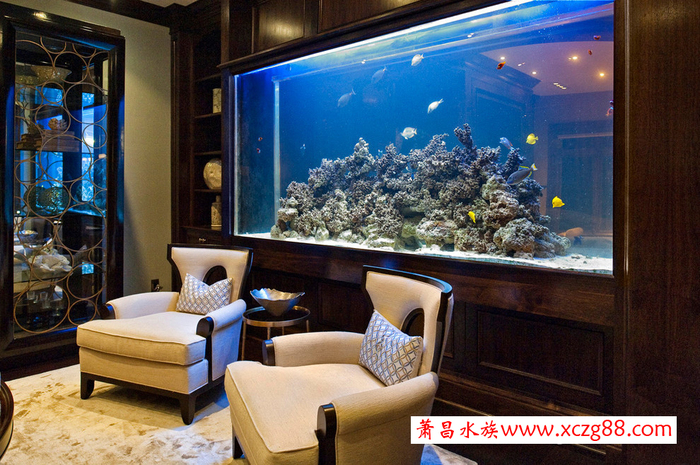 亞克力生態觀賞魚缸