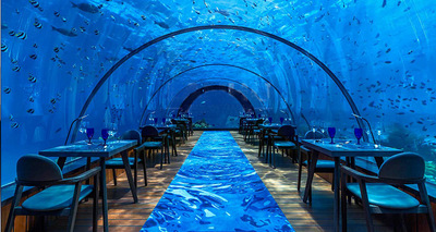 弧形海洋馆工程