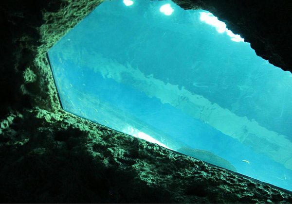 亞克力天花板游泳池