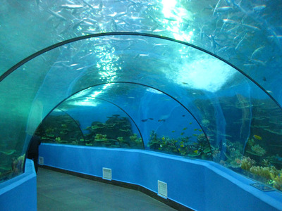 海洋馆工程建设