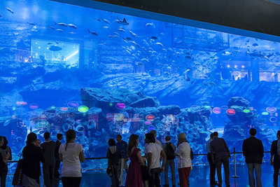 海洋馆大型亚克力水族箱