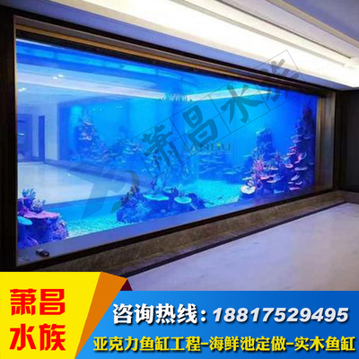 大型鱼缸隔断工程