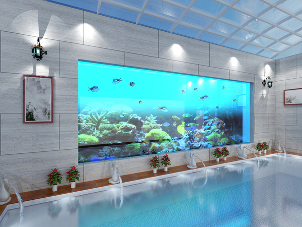 泳池+魚缸