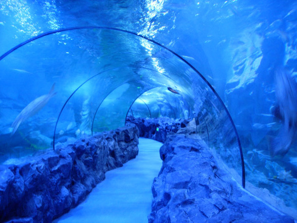 海洋館隧道建設