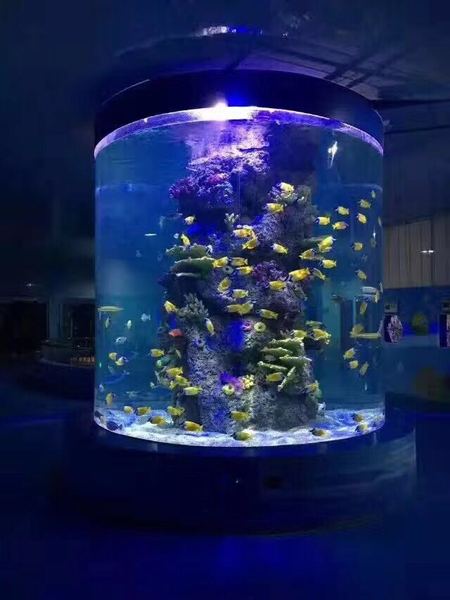 商場圓柱形亞克力水族箱 商場圓柱形亞克力水族箱