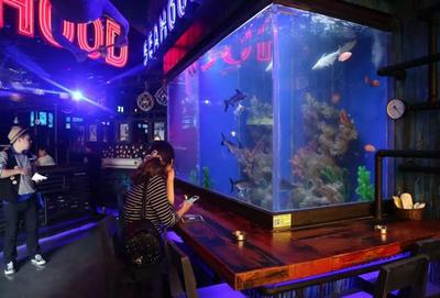 亚克力生态鱼缸