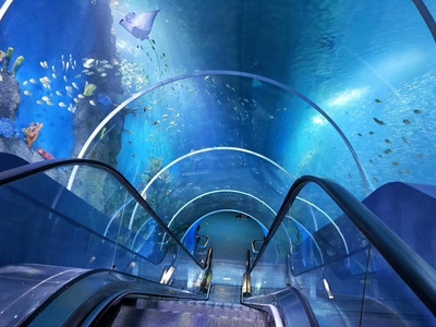 透明亚克力观光隧道电梯