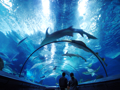 亚克力观光电梯