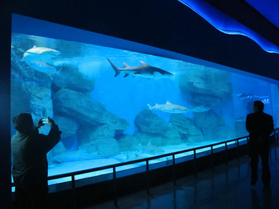 海洋馆大型鱼缸建设