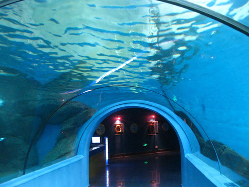 海洋馆隧道