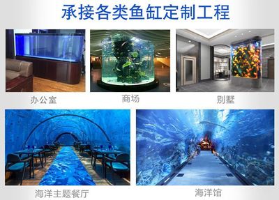 承接各類魚缸定制工程.jpg