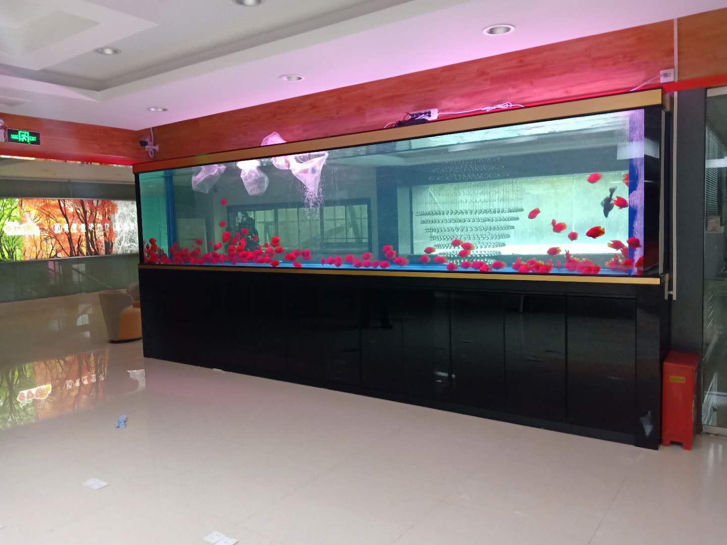 鱼缸制作-办公室鱼缸-超白鱼缸-上海萧昌水族 - 上海萧昌