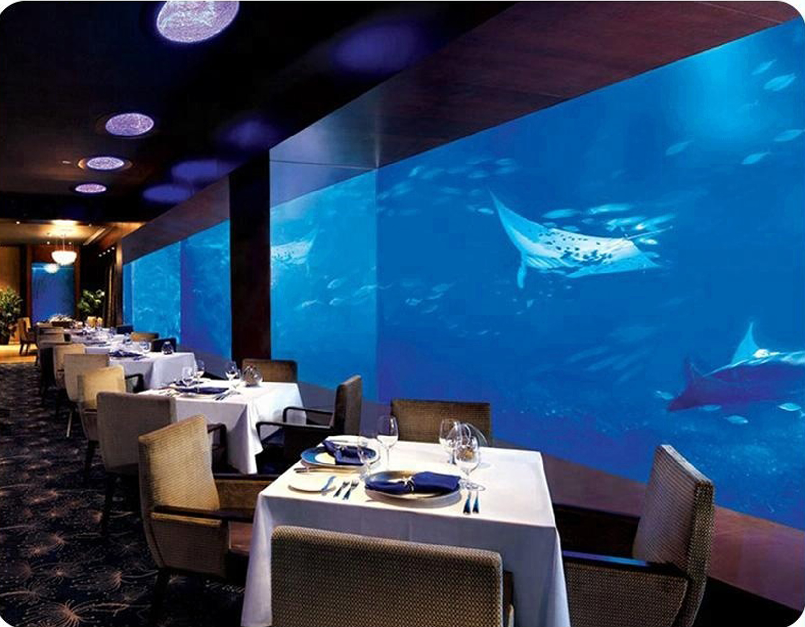 2023天房洲际度假酒店海洋餐厅美食餐厅,好不容易住次洲际，当然不能...【去哪儿攻略】