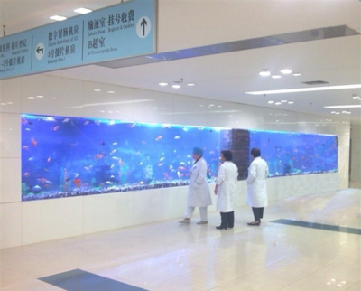 医院鱼缸